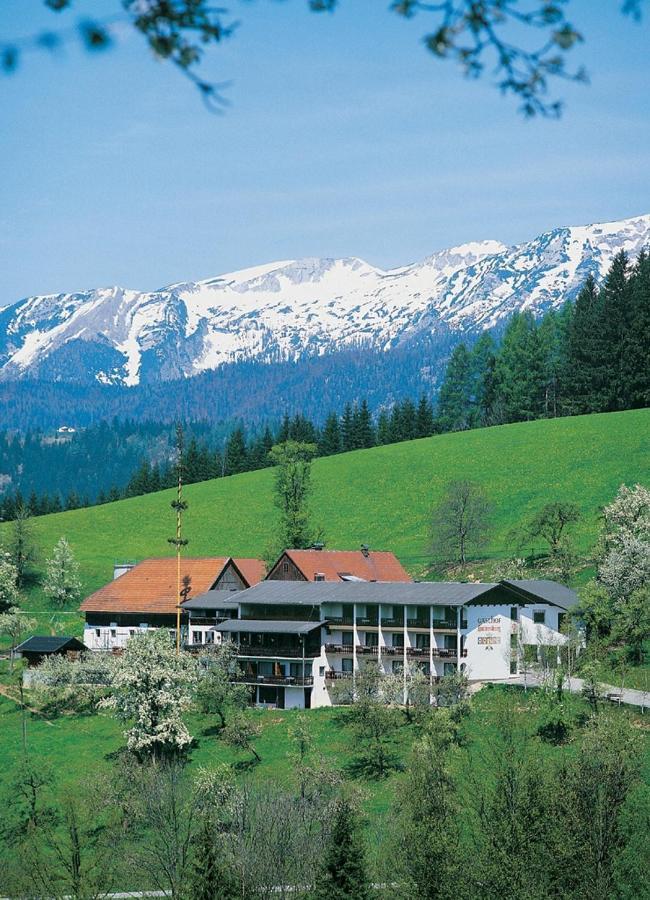 Ausflugshotel Huttersberg Kirchdorf an der Krems Eksteriør billede